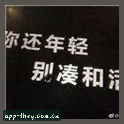 张磊